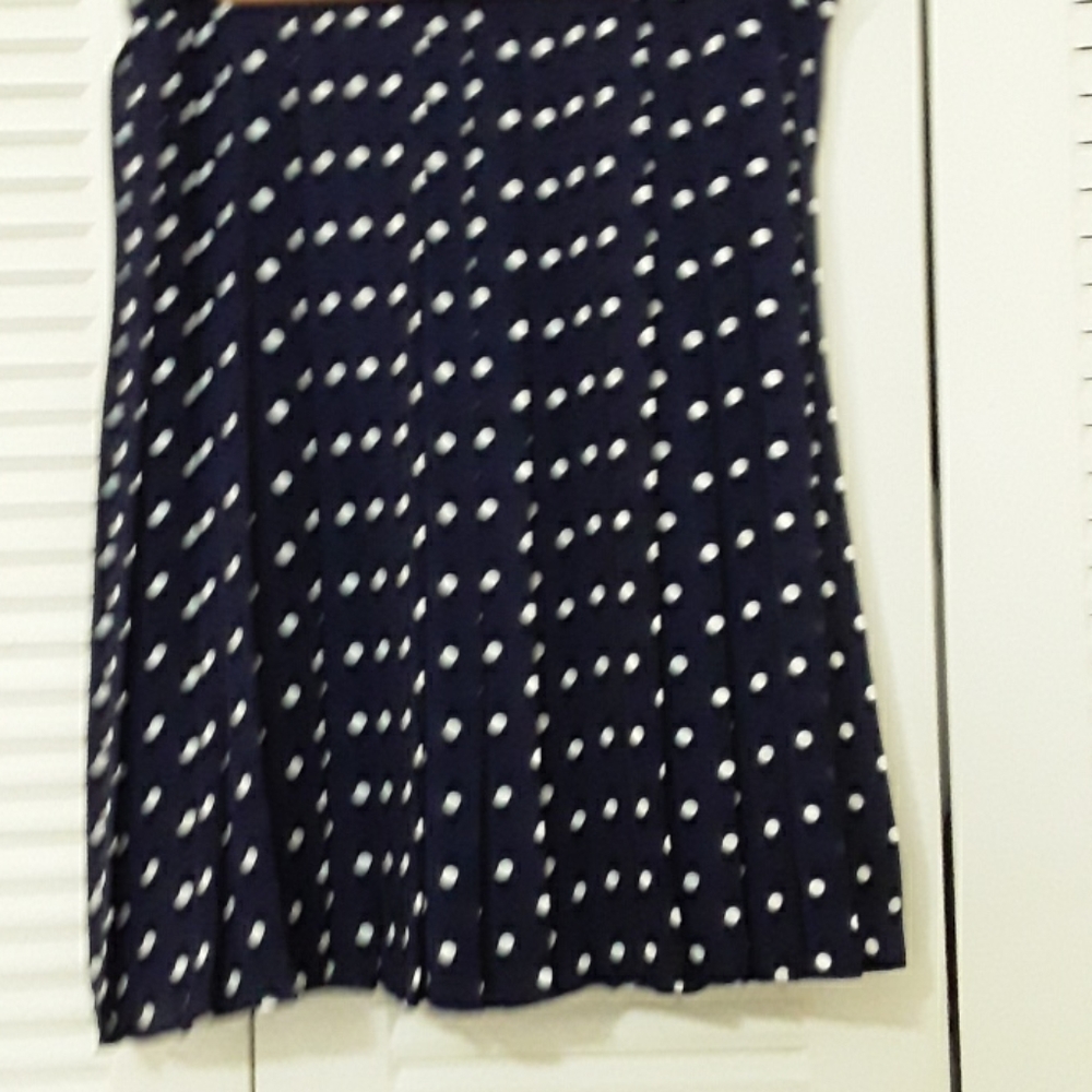 Skirt pleated